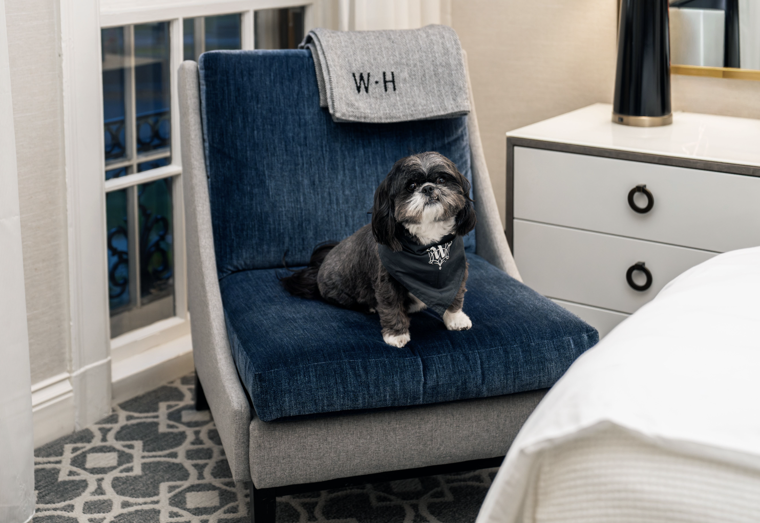 Dog Days of Summer: Free Pup Treats & Dog Astrology Readings